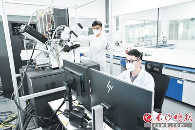 巴斯夫杉杉 技術研發驅動，打造全球領先的電池正極材料供應商