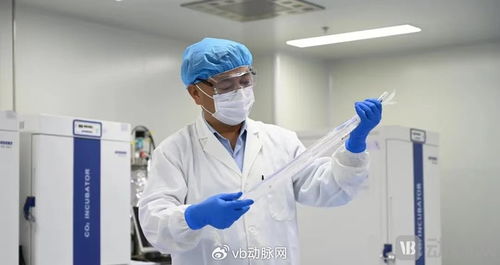 國產生物型人工血管獲創新通道認可，心血管治療迎來新突破